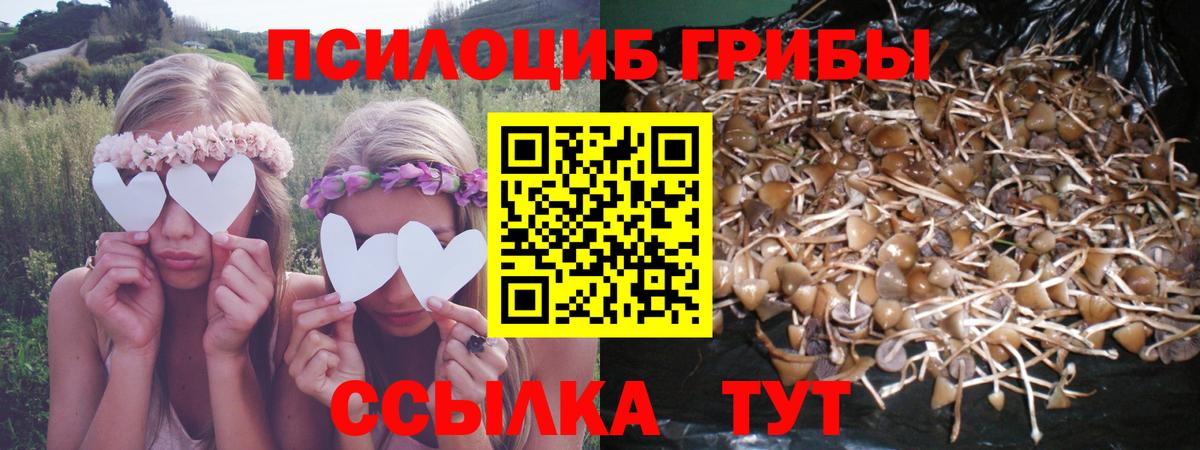 Галлюциногенные грибы мухоморы  Вход с VPN  Верхняя Салда 